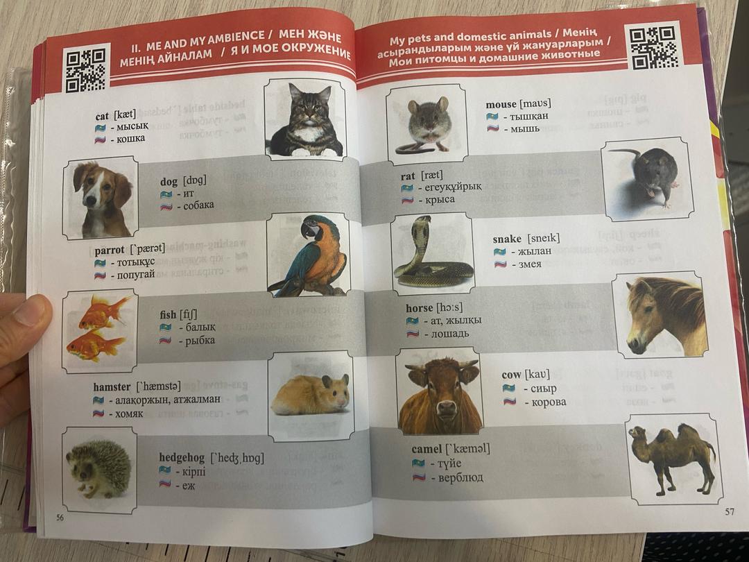 Неизвестно English-Kazakh-Russian Smart Dictionary. Part I — фото 2