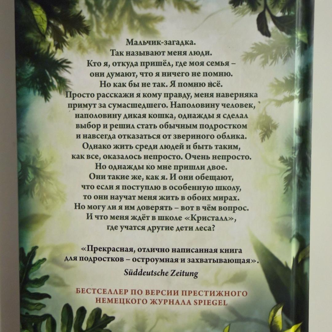 Катя Брандис Книга «Дети леса» — фото 2