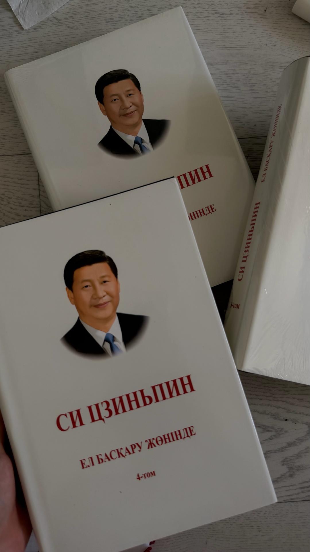 Си Цзиньпин Книга — фото 2