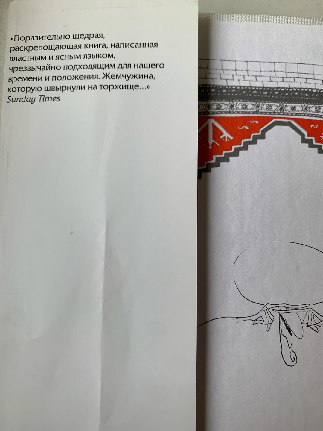 Идрис Шах Книга «Выходки невероятного Ходжи Насреддина» Идрис Шах юмористическая — фото 2