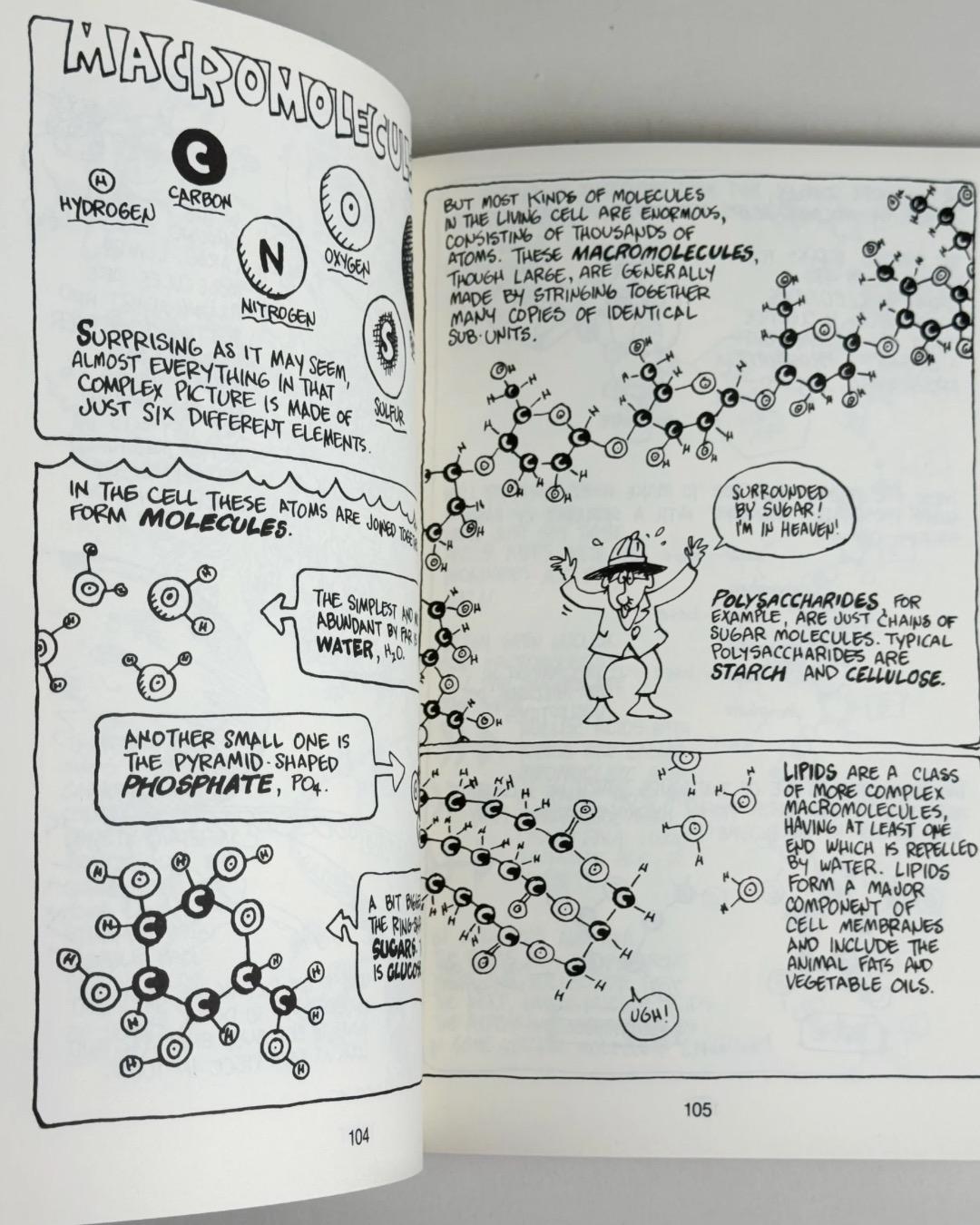 Larry Gonick, Mark Wheelis The Cartoon Guide to Genetics — фото 2