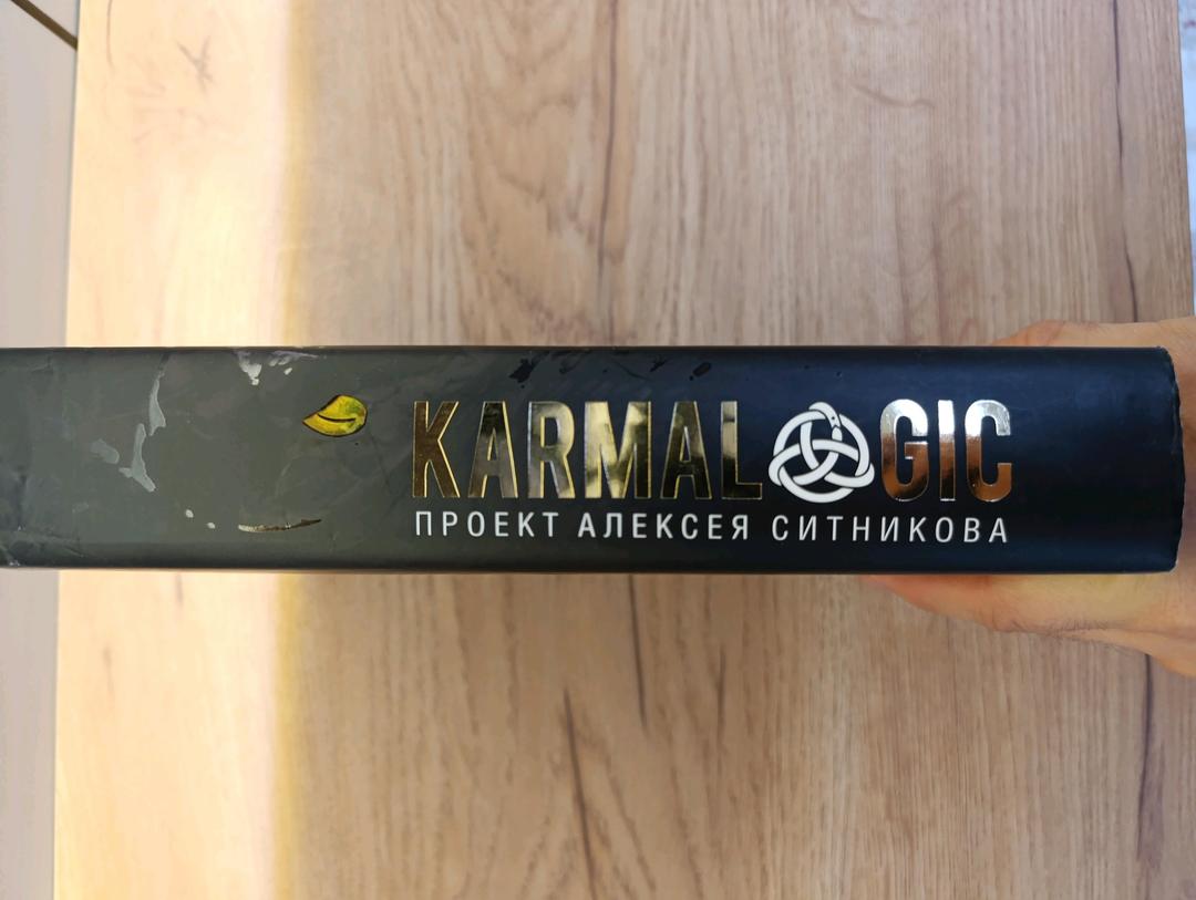 Ситников А.П. Karmalogic. Проект Алексея Ситникова. Ситников А.П. — фото 2