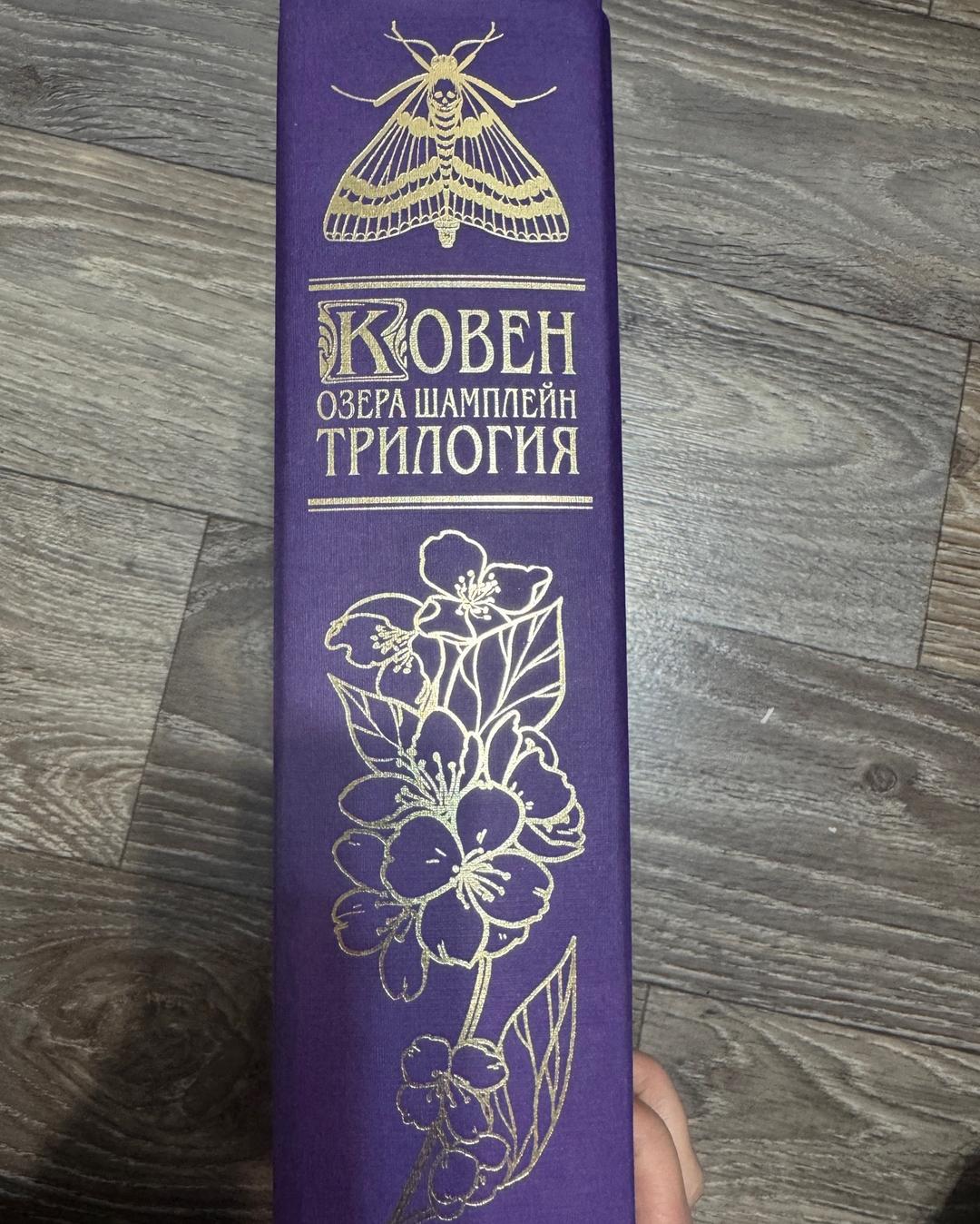 Анастасия Гор Ковен озера Шамплейн: трилогия — фото 2