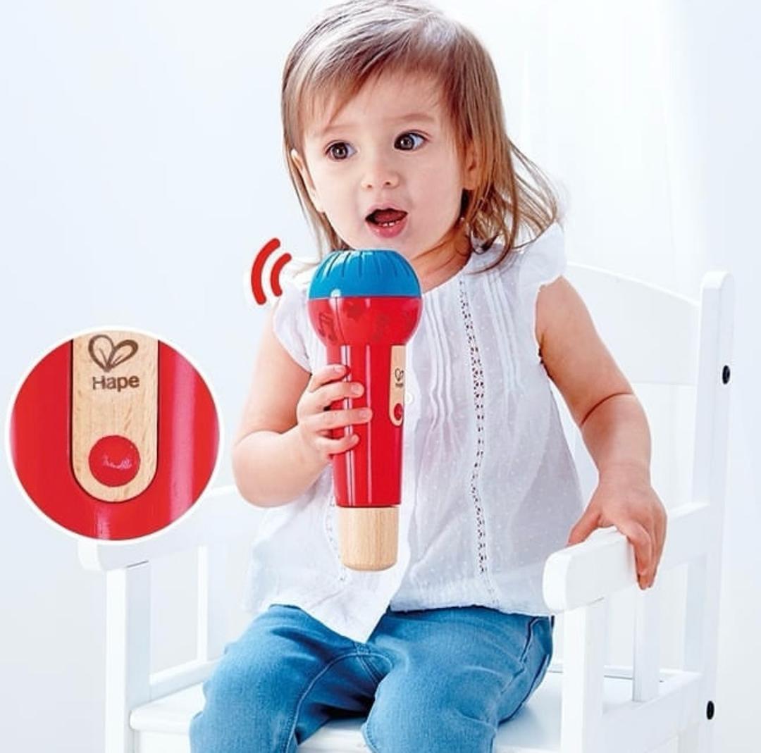 Hape Микрофон Hape Mighty Echo — фото 2