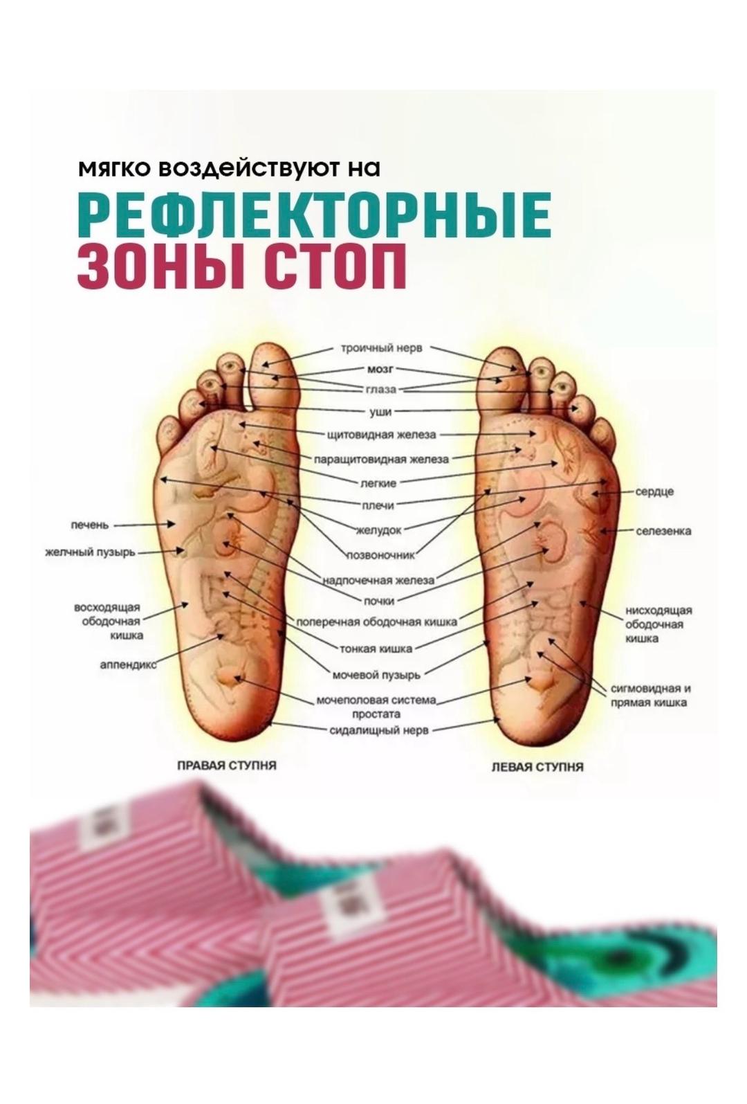 Нет бренда Массажные тапочки шиацу — фото 2