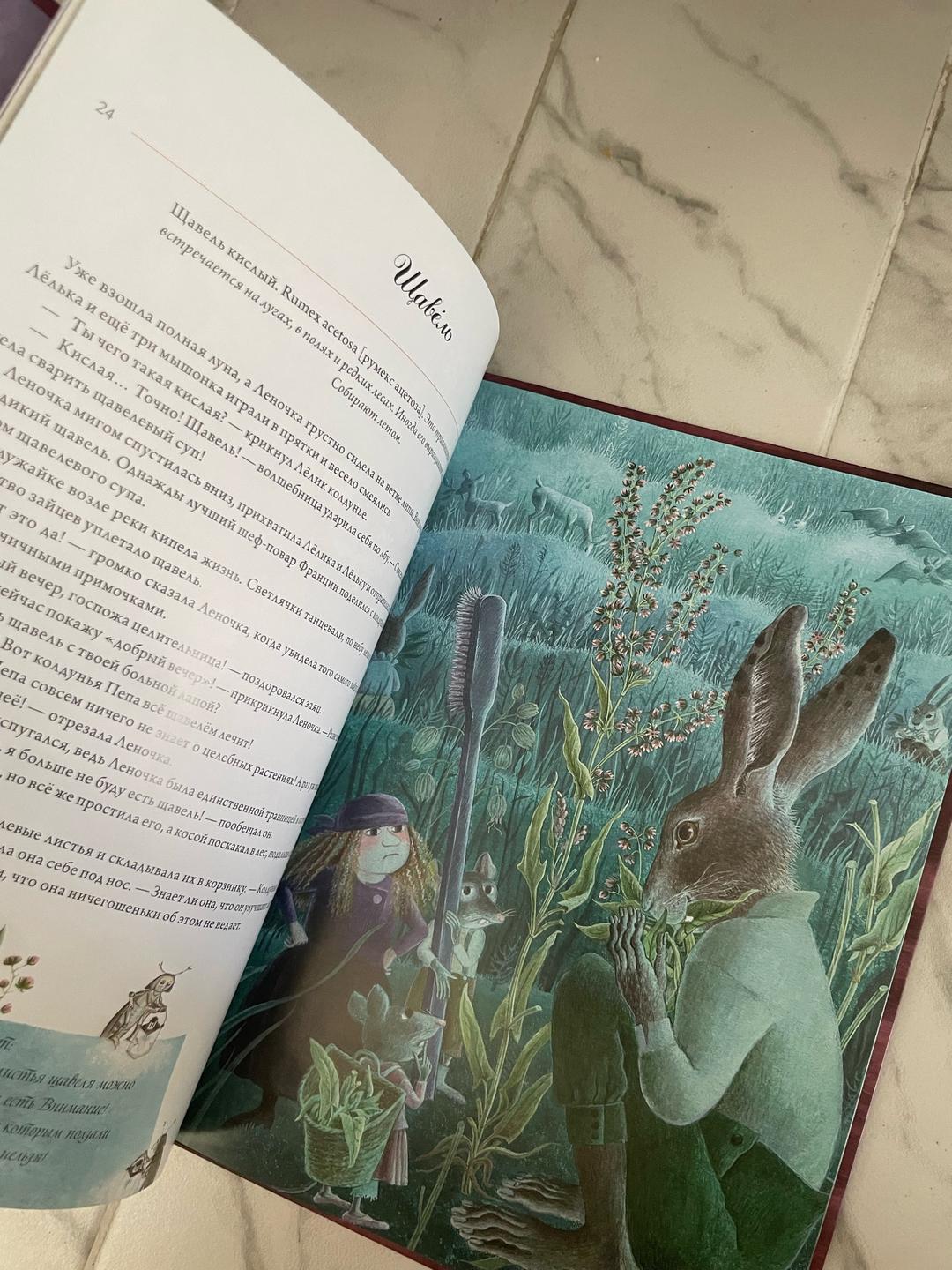 Полонца Ковач Волшебная книга полезных трав — фото 2