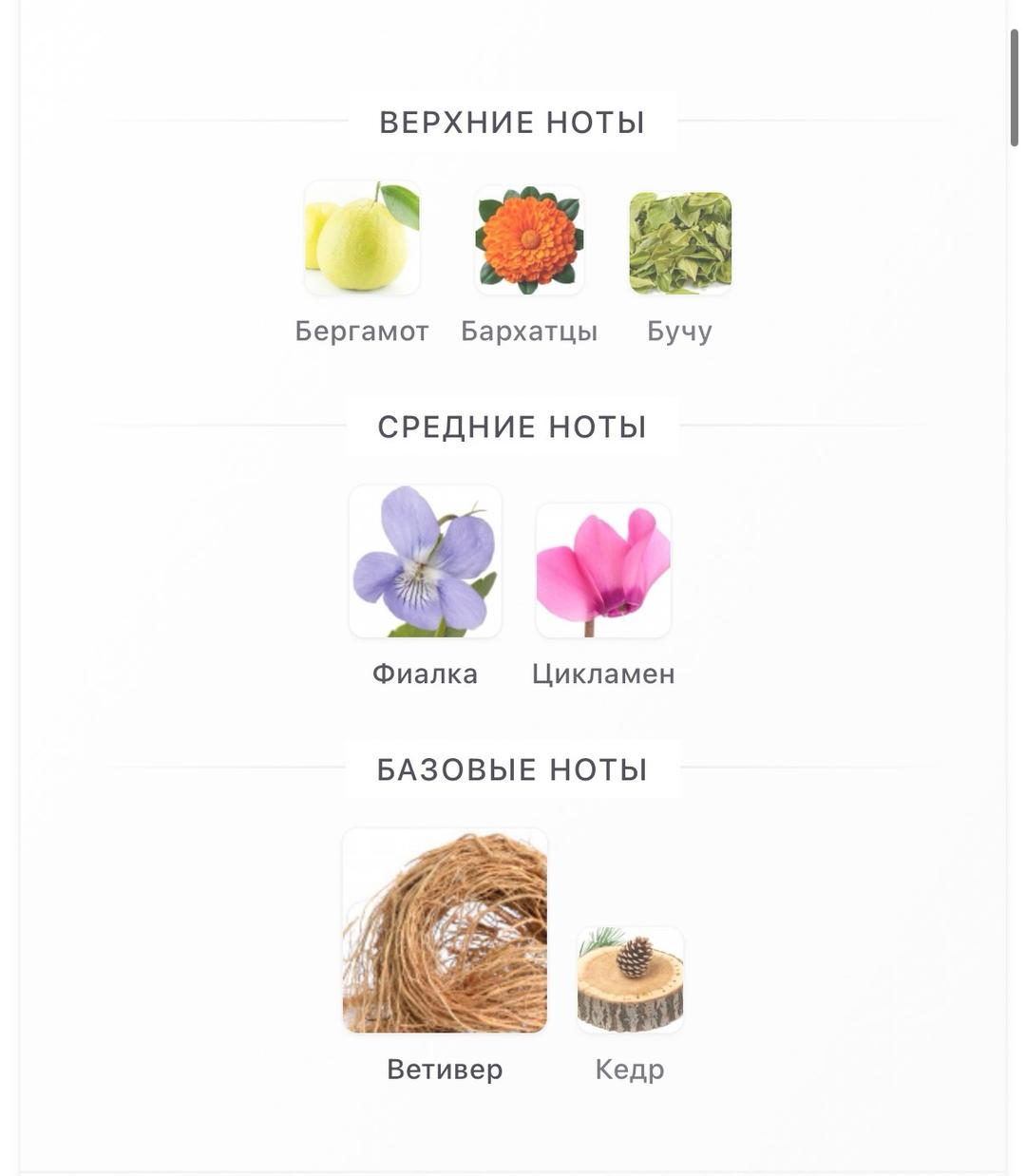 Byredo Духи BYREDO Bal d'Afrique 50мл — фото 2