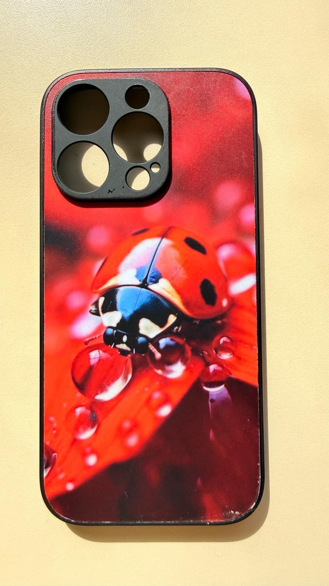 чехол IPhone 16Pro Чехол на IPhone 16Pro божья коровка — фото 2