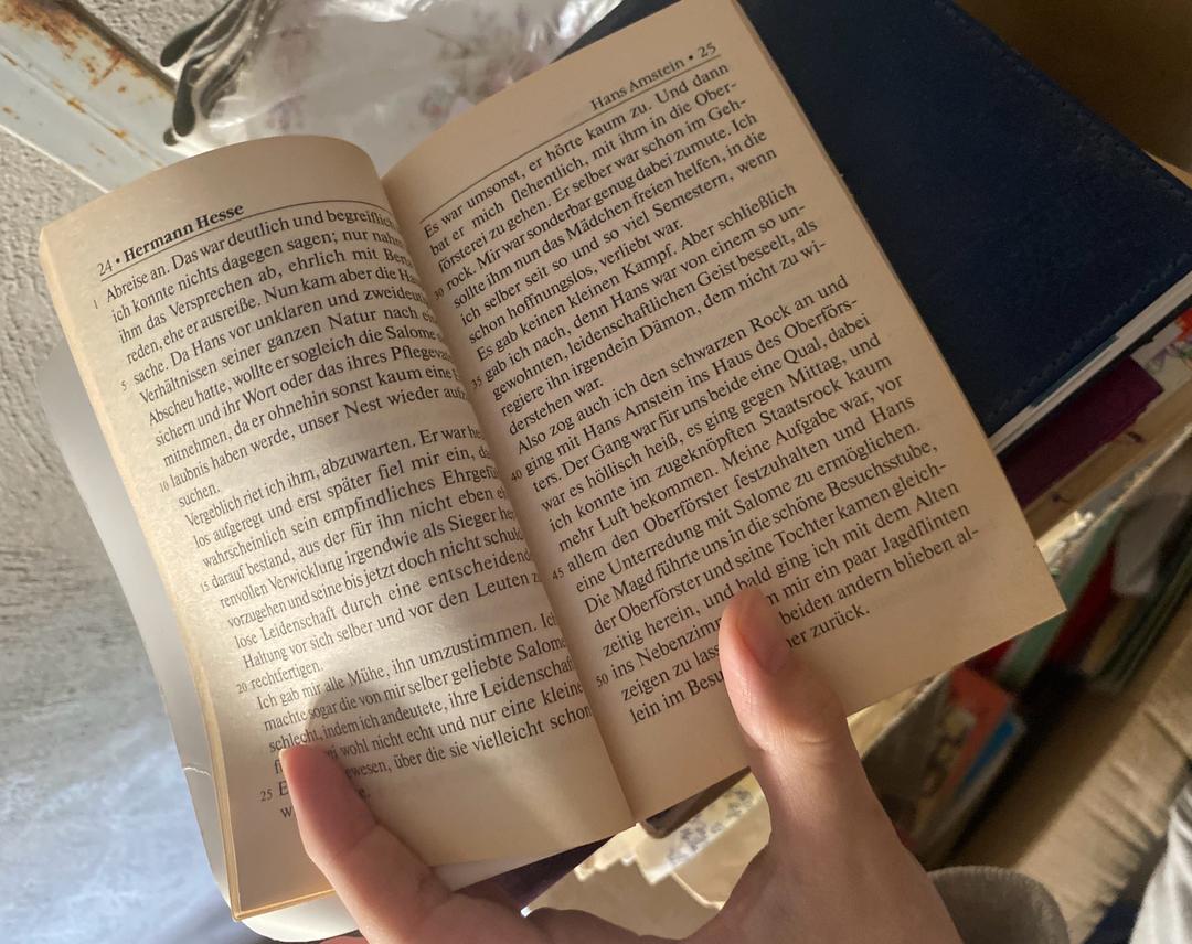 Герман Гессе Книга Liebesgeschichten автора Hermann Hesse — фото 2