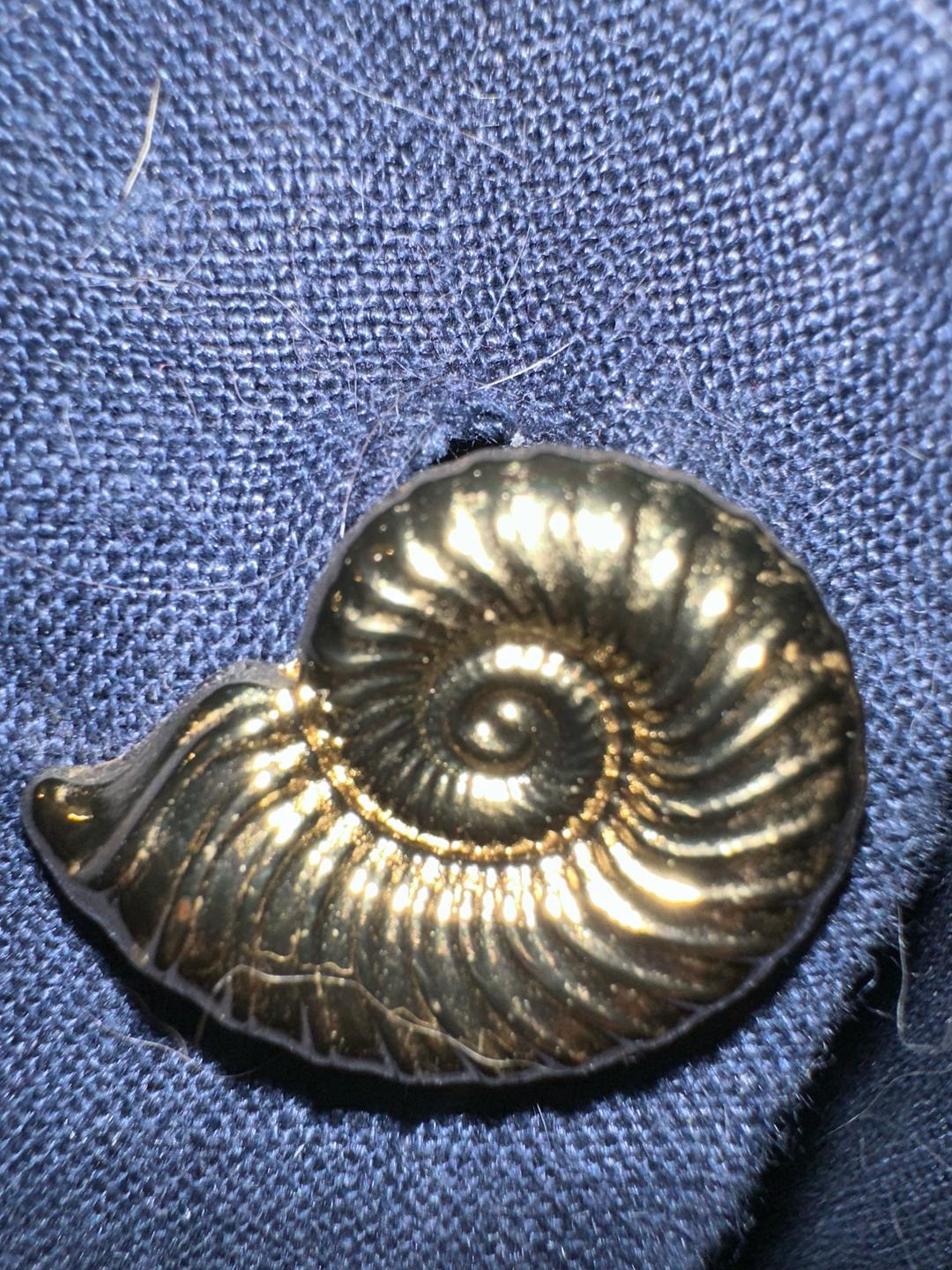 Jimmy KeY ЛЕТО ☀️ Костюм жилет и брюки — фото 2