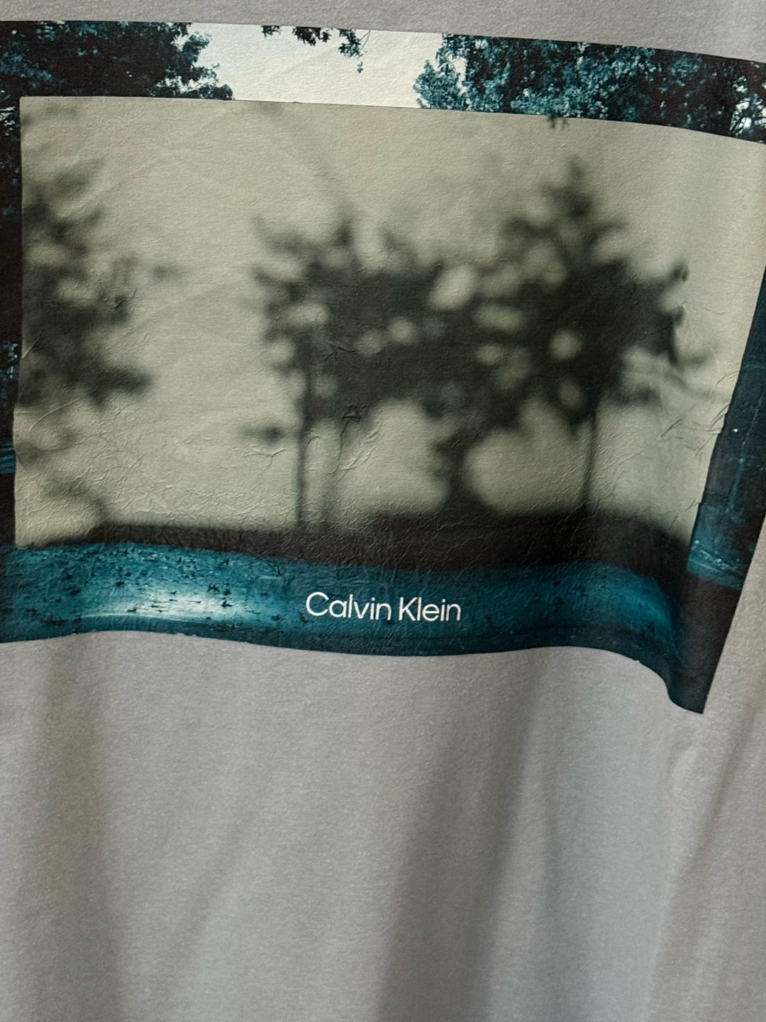 Calvin Klein Мужская футболка Calvin Klein — фото 2