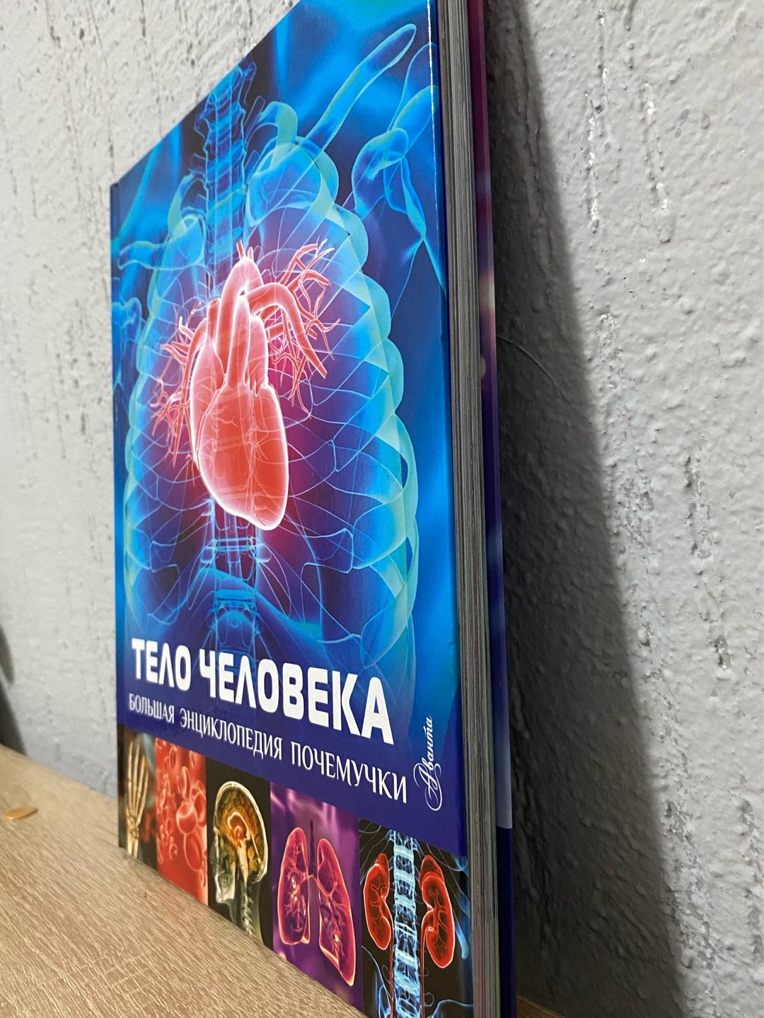 Клэр Хибберт Энциклопедия «Тело человека» — фото 2
