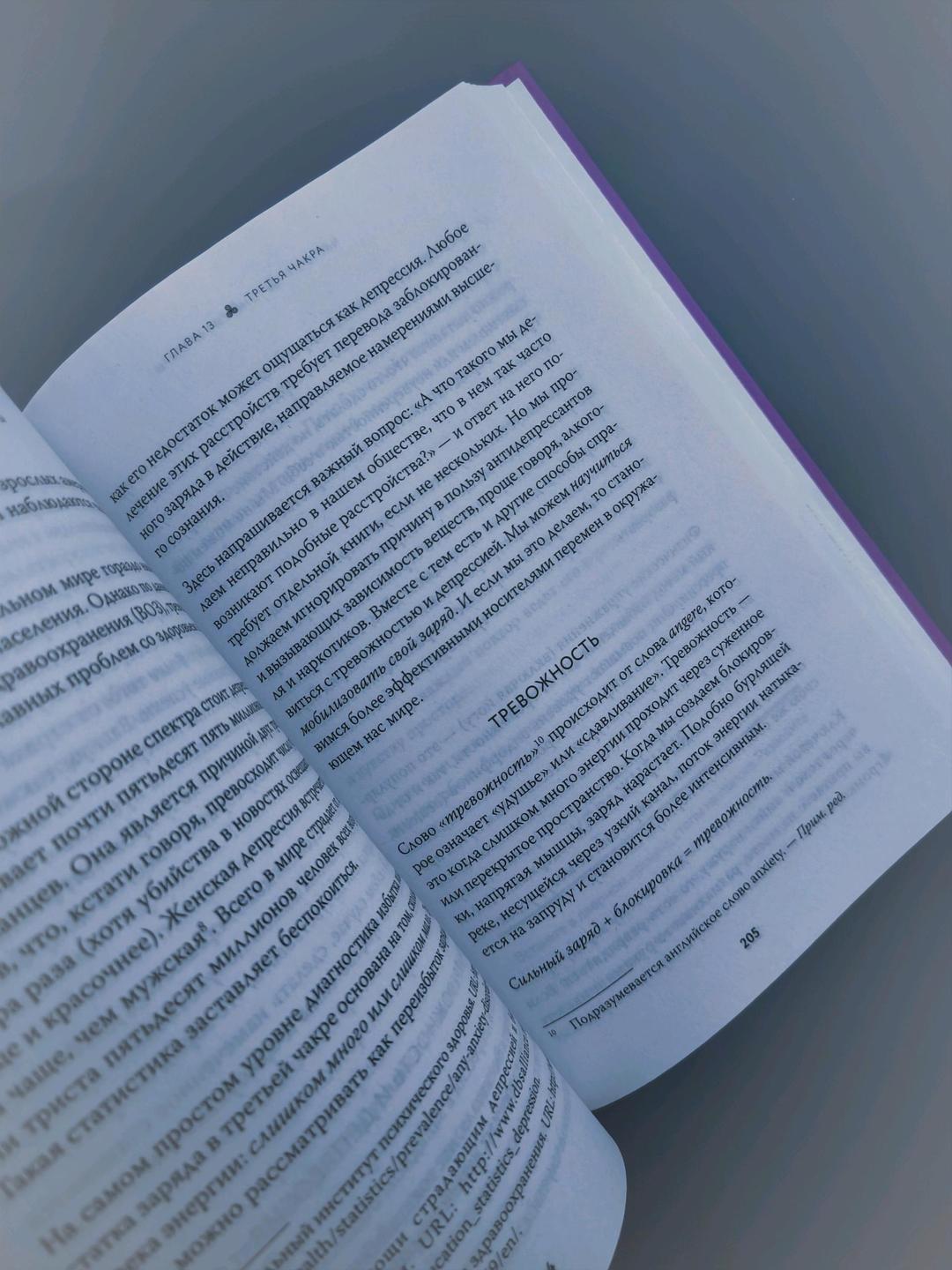 Анодея Джудит Книга в потоке🪷 — фото 2