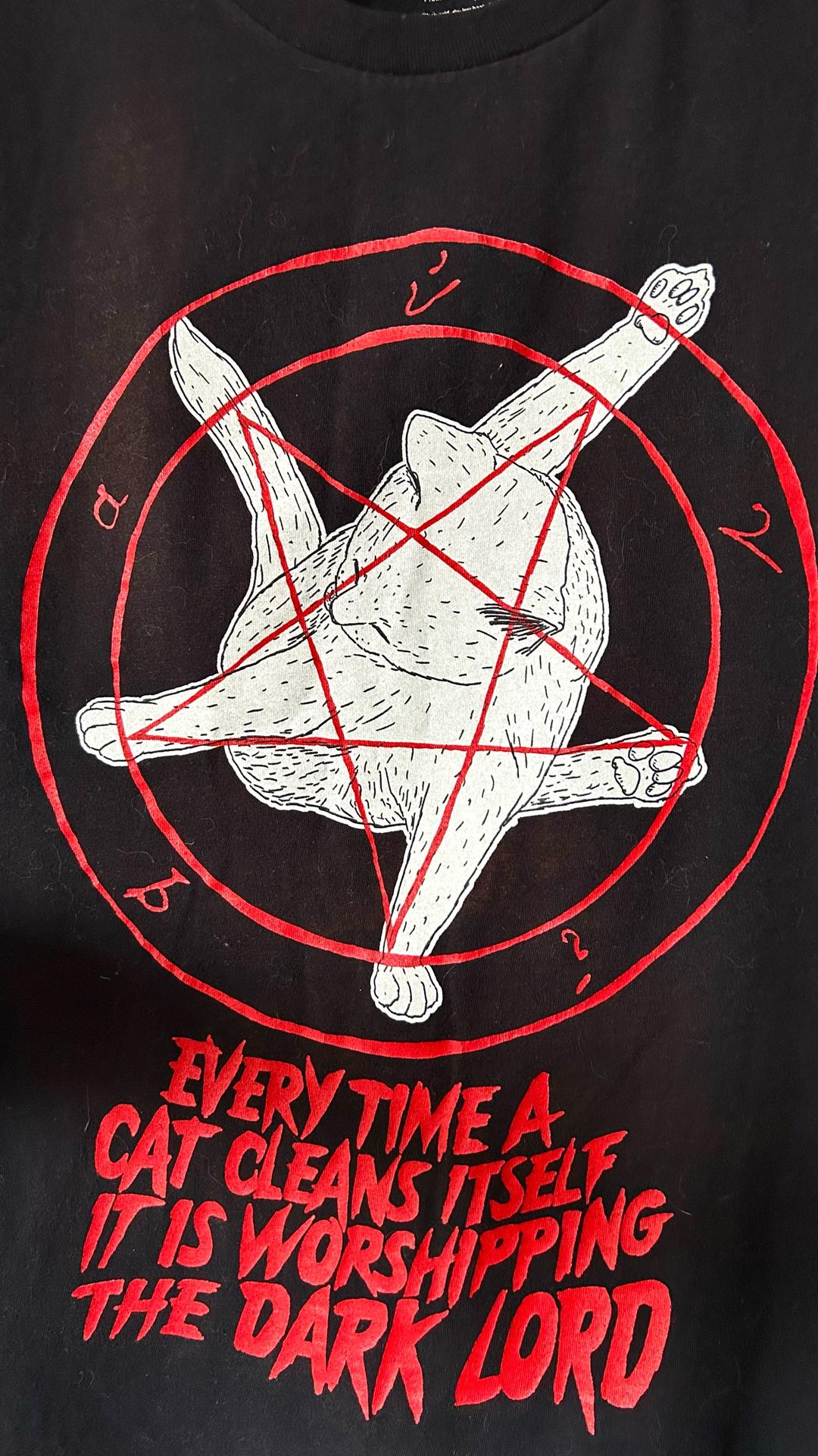 Threadless Винтажная футболка Threadless «Every Time A Cat Cleans Itself» (размер S/M) — фото 2