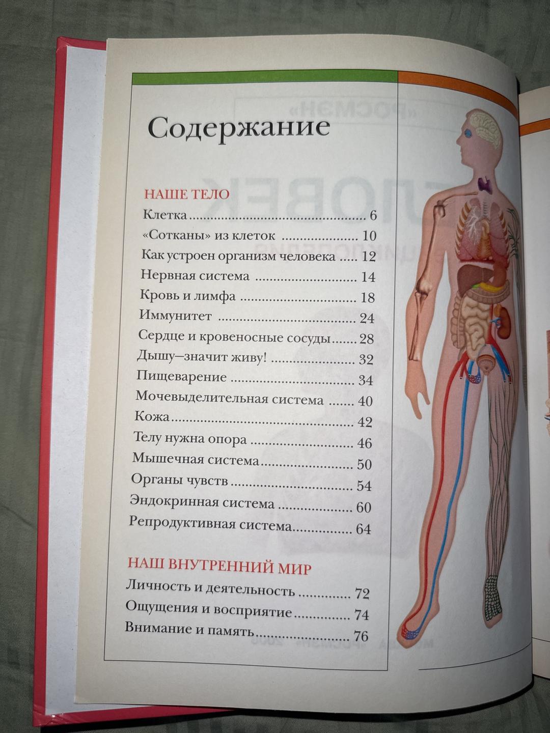 Издательство «РОСМЭ Книга про анатомию человека — фото 2