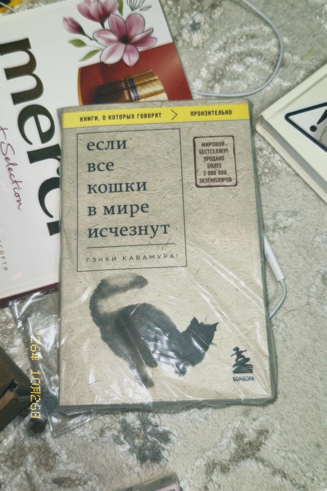 Гэнки Кавамура Если все кошки в мире исчезнут — фото 2