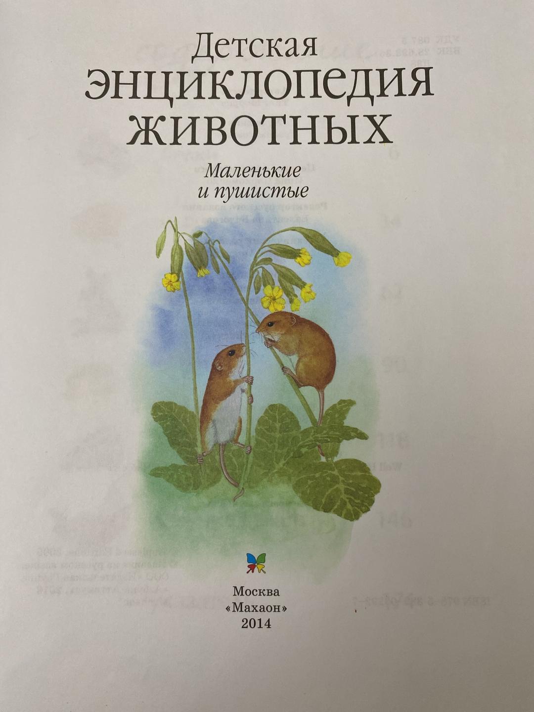 Тинг Моррис Детская энциклопедия животных: Маленькие и пушистые — фото 2