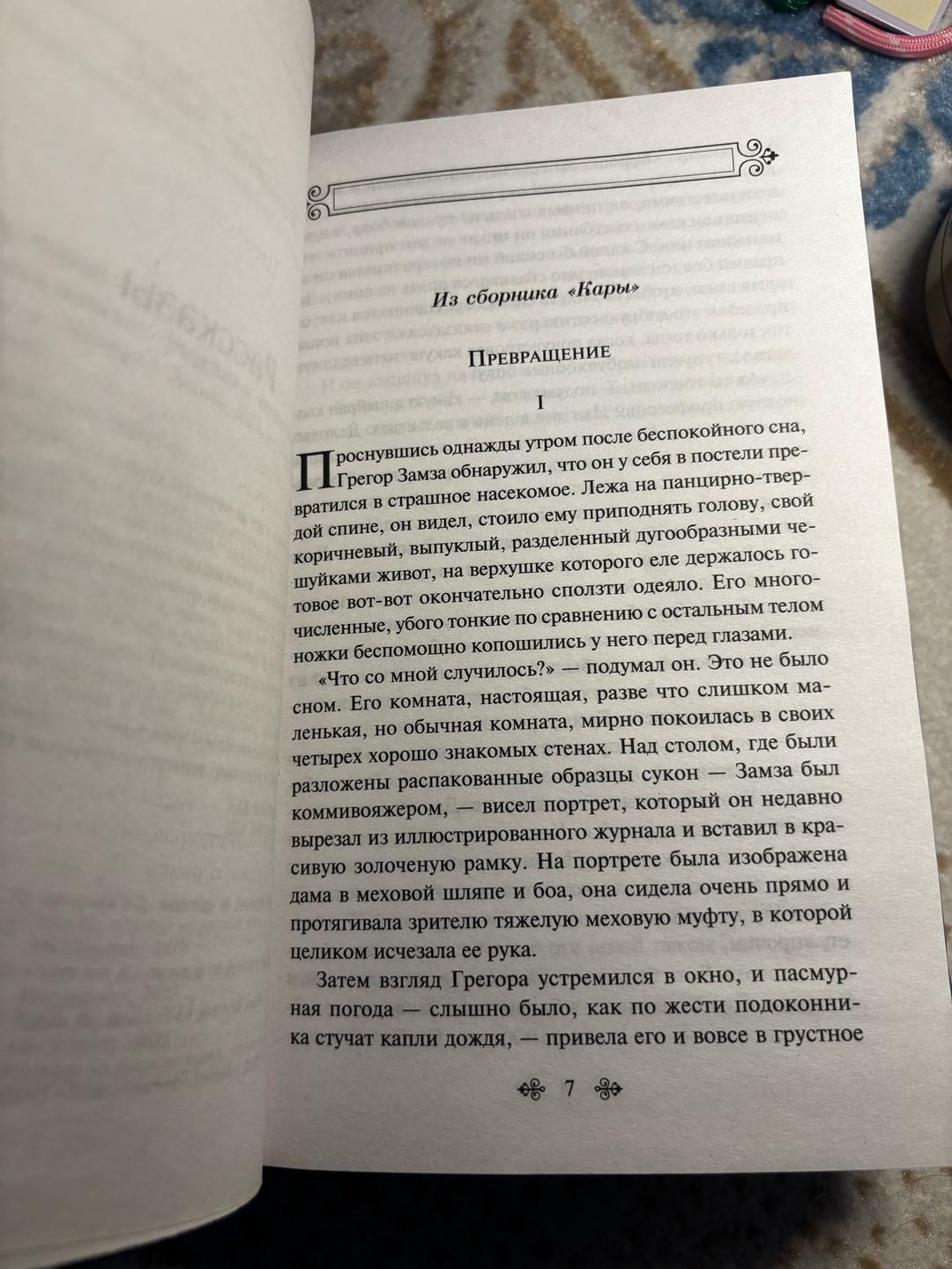 Франц Кафка Превращение — фото 2