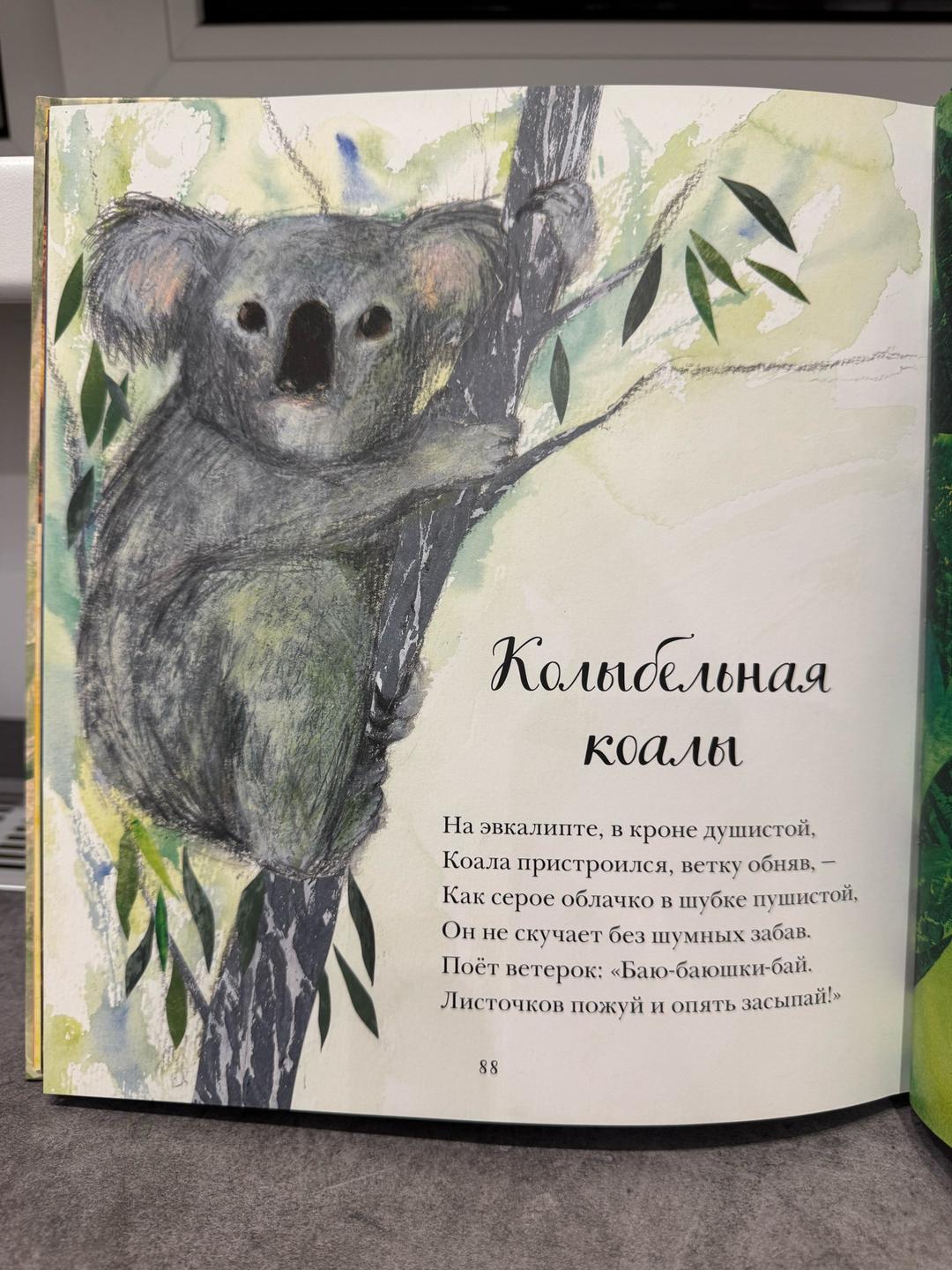 Никола Дэвис Красивая книга о животных — фото 2