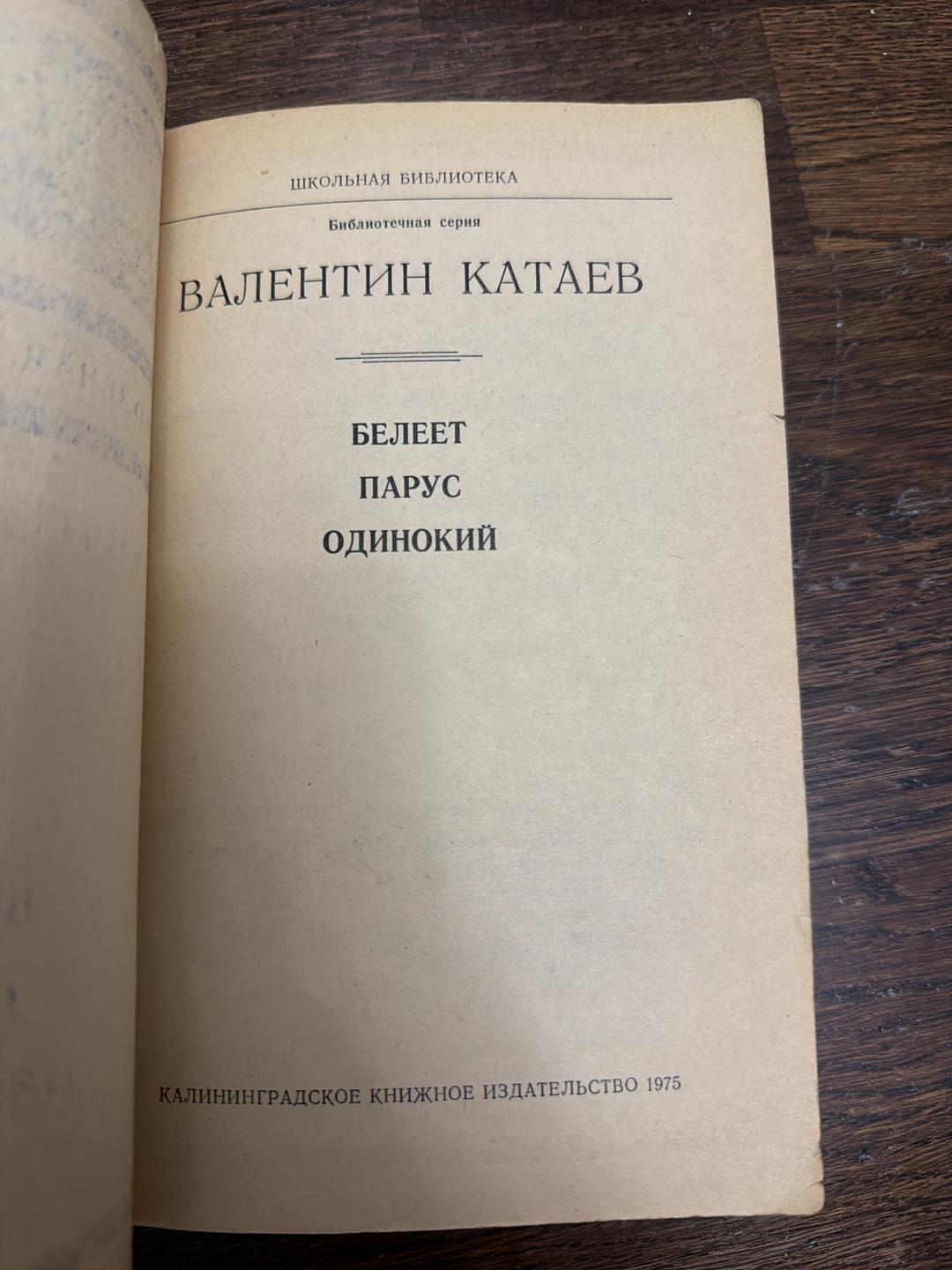 Валентин Катаев Белеет парус одинокий — фото 2