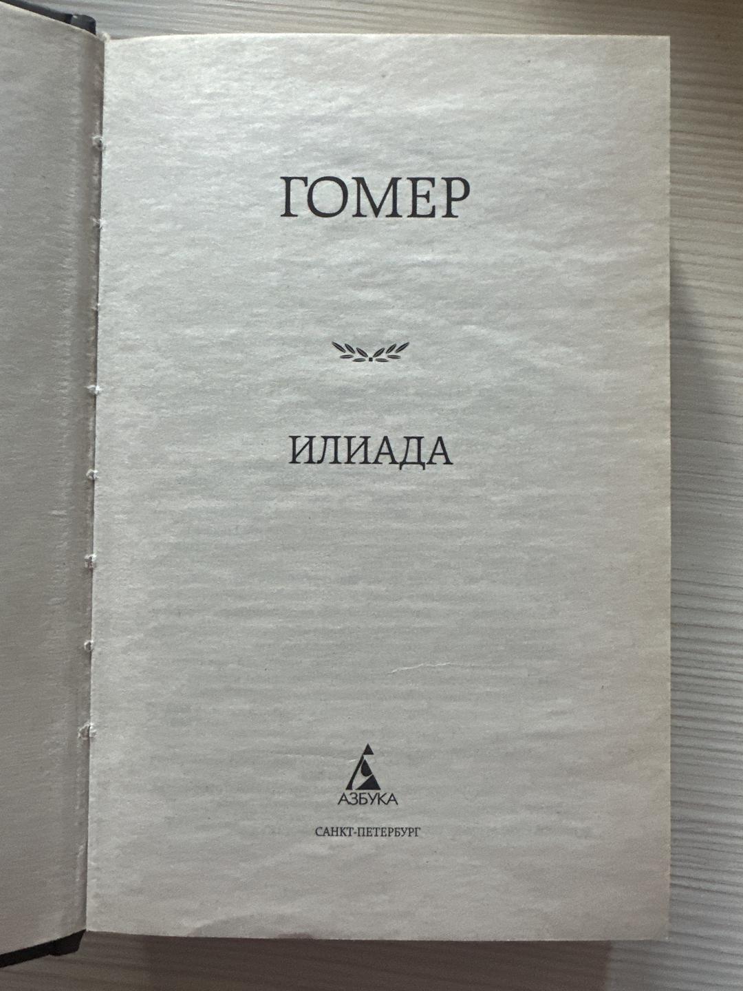 Гомер Илиада — фото 2