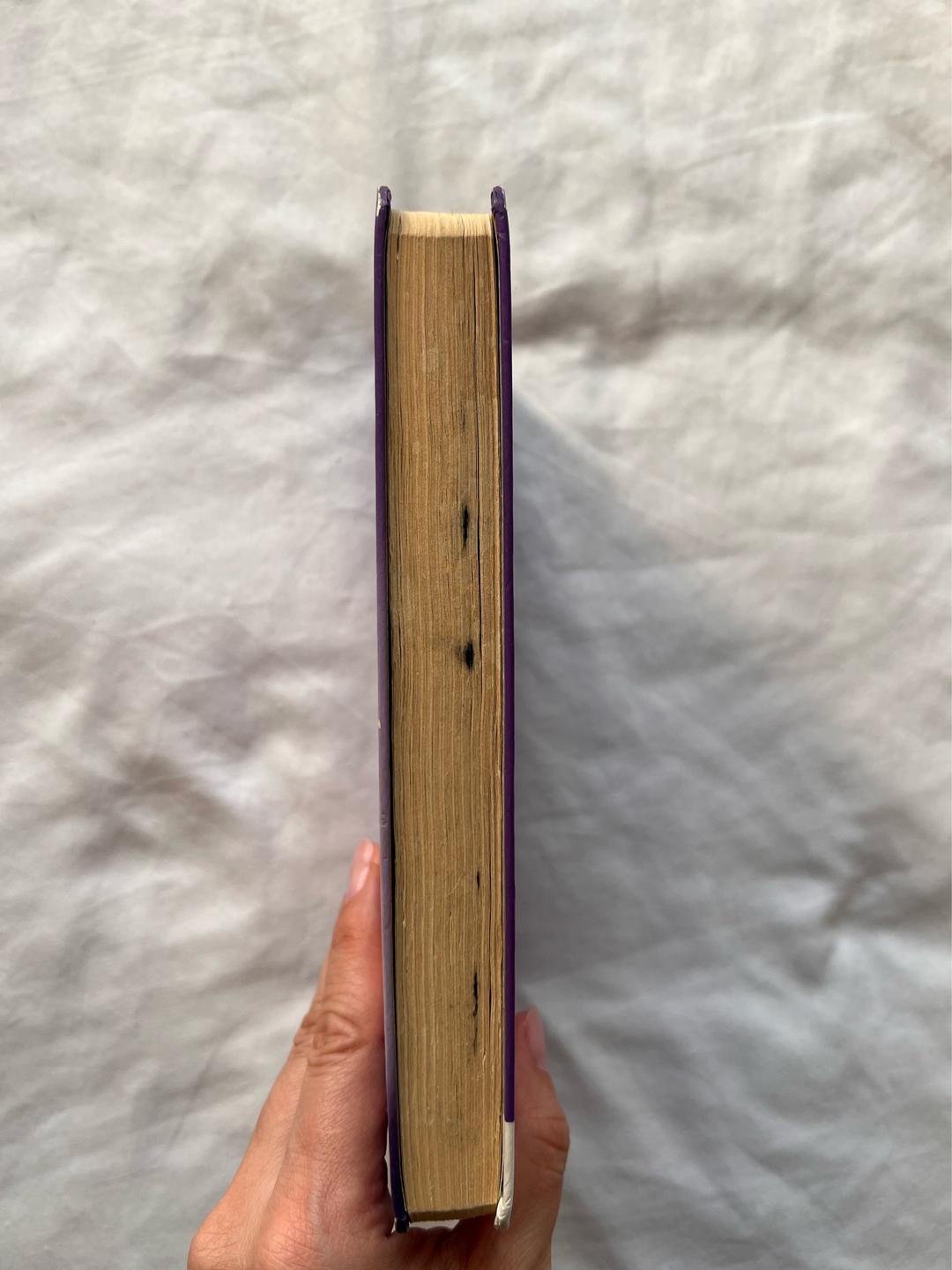 Сара Джио Книга «Фиалки в марте» — фото 2