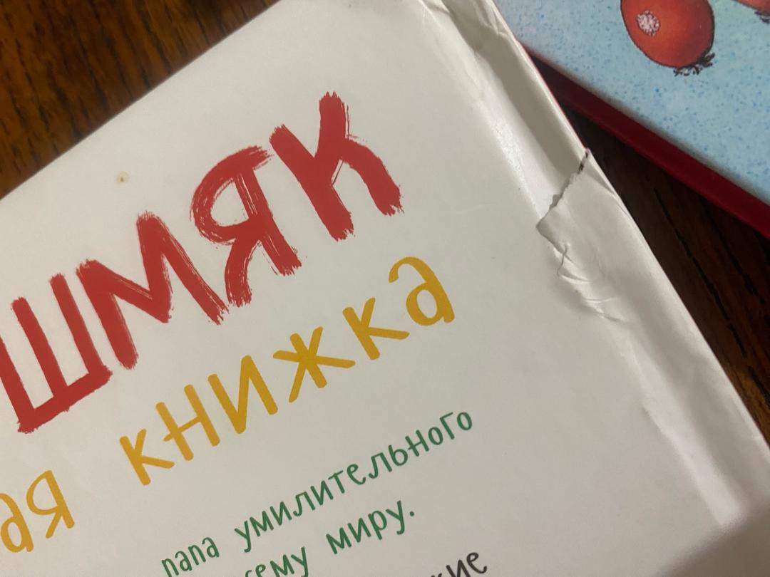 Роб Скоттон Котёнок Шмяк и библиотечная книжка — фото 2