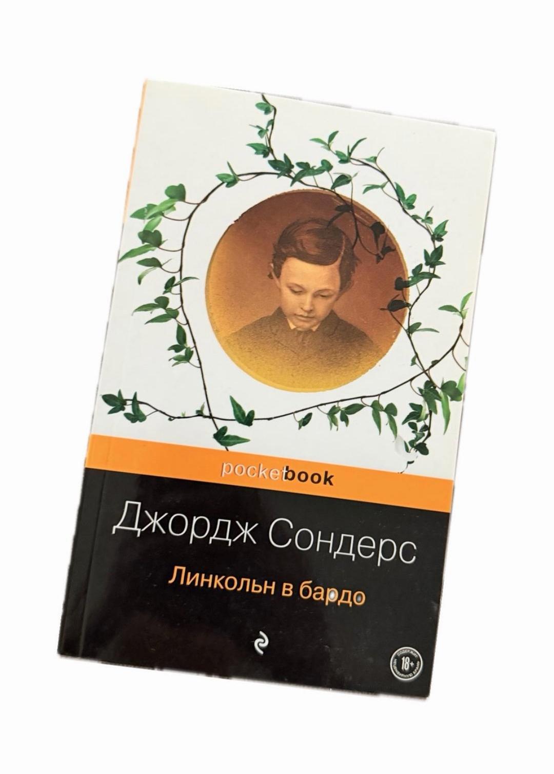 Артур Конан Дойл, Джордж Сондерс Книги Долина страха и Линкольн в бардо — фото 2
