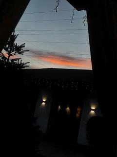 Dariia