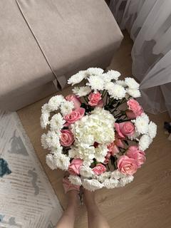 albina_maksutova