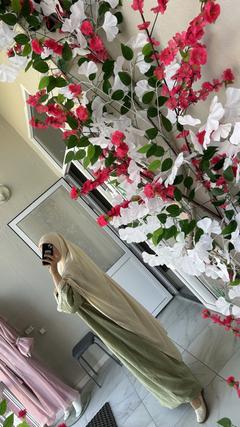 molya.molya