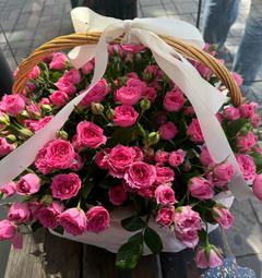 Alya05