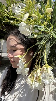 Shynara.N
