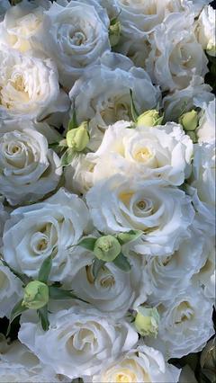 aii_shop