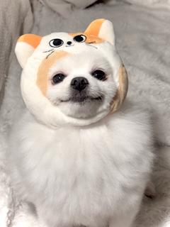 zzzzziii