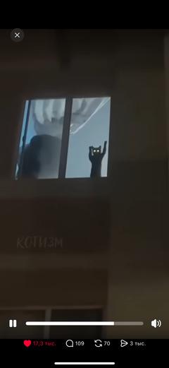 Nurai_mm