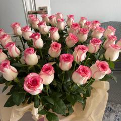 diana_br_odezhda