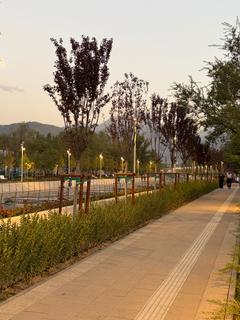 Anar100201