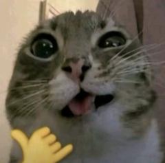 87713380815