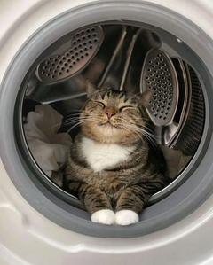 user_2gicp5s2ui