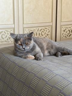 Cinnamonwardrobe