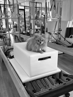 miss.Dior