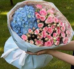 Dariya_dariya
