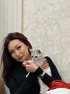 dilya_ll
