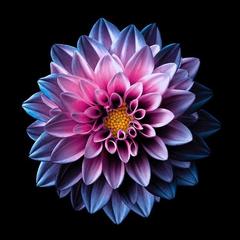 user_Dana