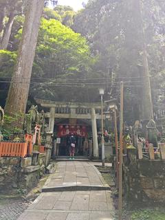 Zhuban