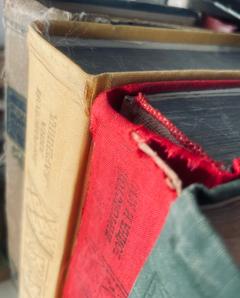 Bookworm