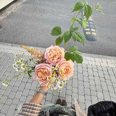 Wearmeblessed
