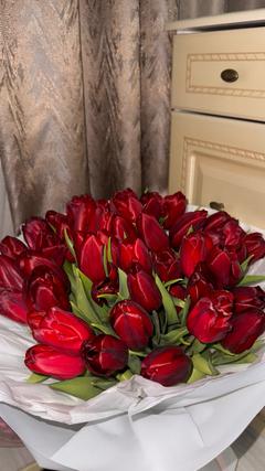 _Kamilla11