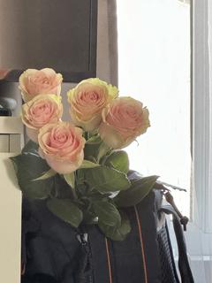 hellothere